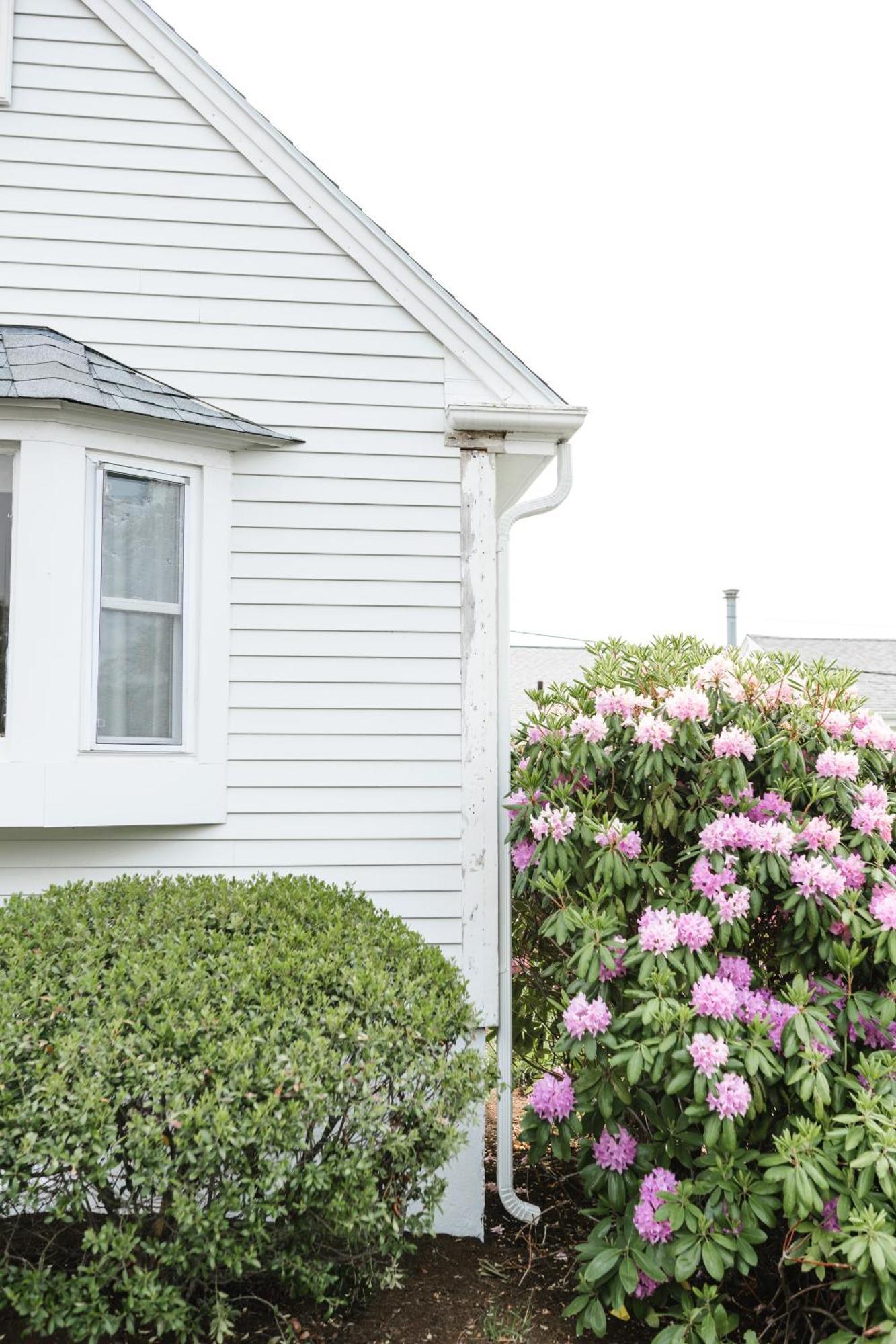 Greyfinch Chatham Inn Экстерьер фото
